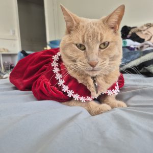Minnie