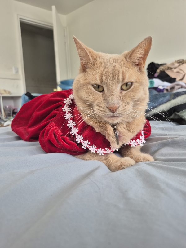 Minnie