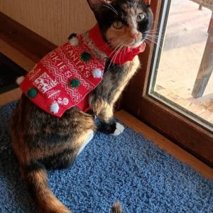 Ms. Murder Mittens