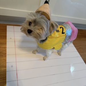 Georgie